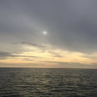 18280607_1719732298042206_1639842393_n