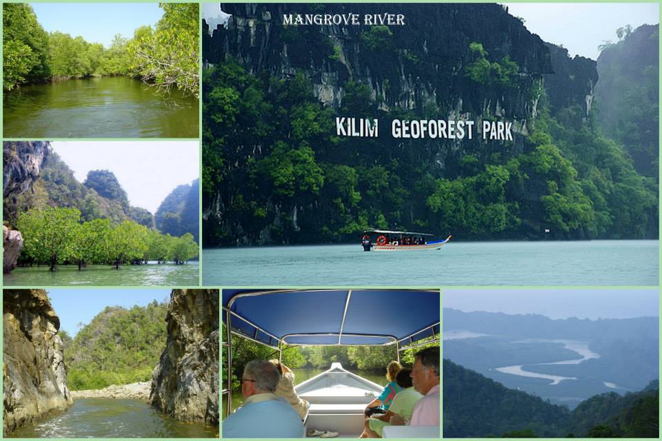 Mangrove Tour Langkawi