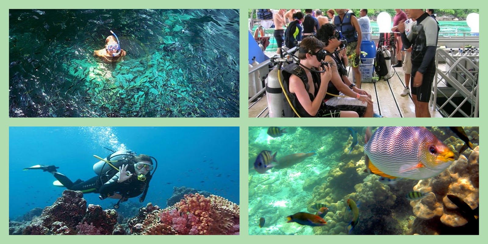 Selam Scuba Di Pulau Payar